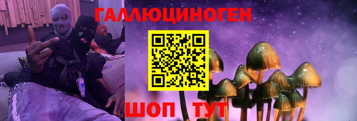 Галлюциногенные грибы MAGIC MUSHROOMS  Вход с VPN  Лобня 